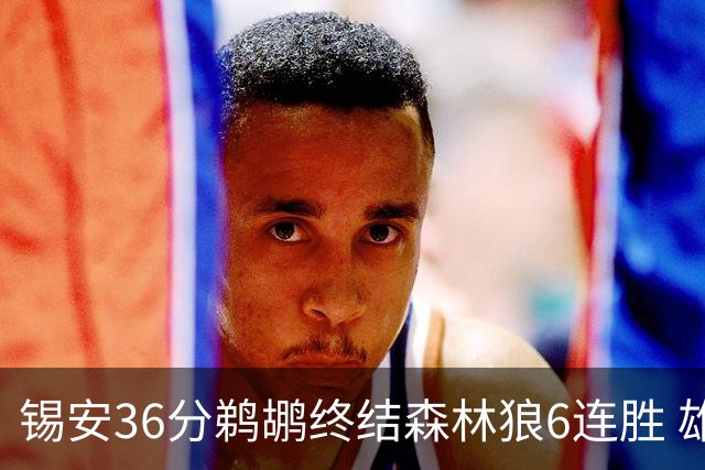 锡安36分鹈鹕终结森林狼6连胜 雄鹿险胜公牛